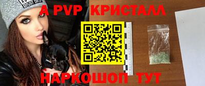 соль ск Бердск