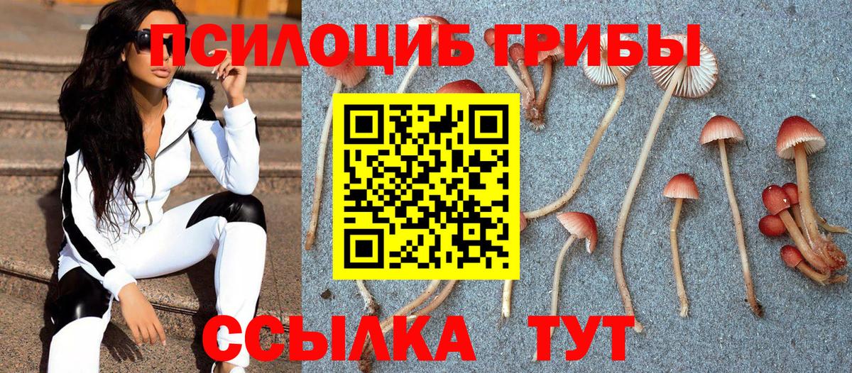 Великий Устюг  Галлюциногенные грибы Psilocybe  Вход с VPN 