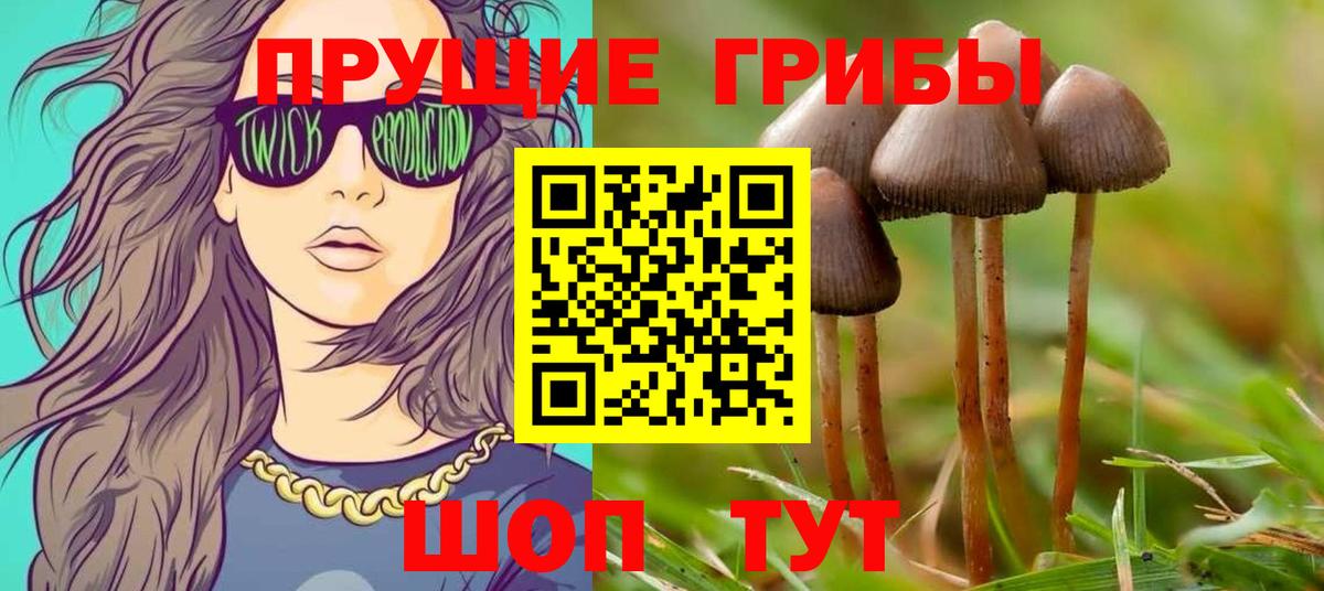 Псилоцибиновые грибы мицелий Великий Устюг